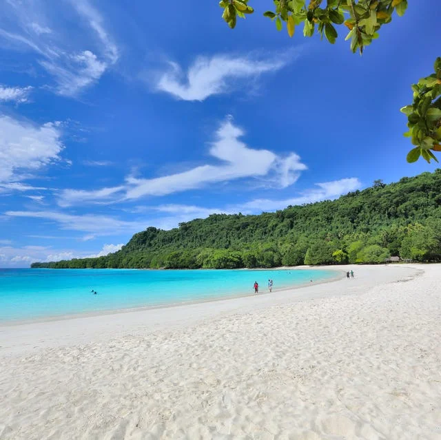 champagne-beach-espiritu-santo-island-vanuatu-royalty-free-image-1655672510.webp