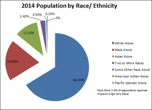 Chart-PopulationbyRaceEthnicity.webp