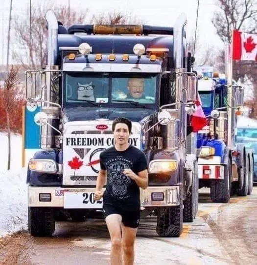 ChasingTrudeau.webp