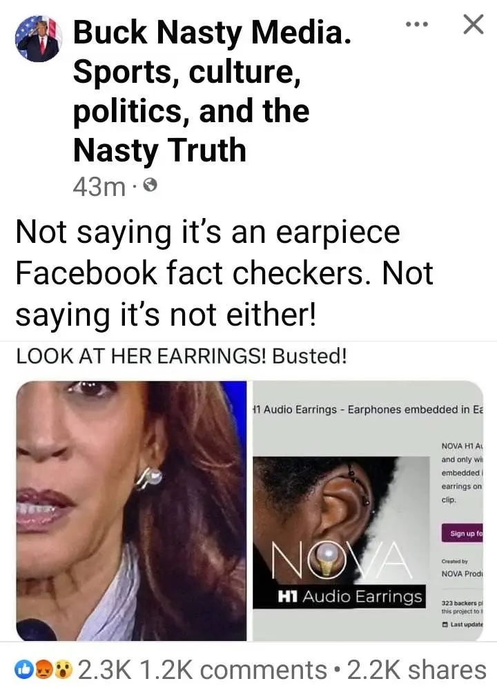 CHEATER EARRINGS.webp