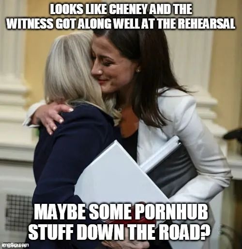 cheney and witness.webp