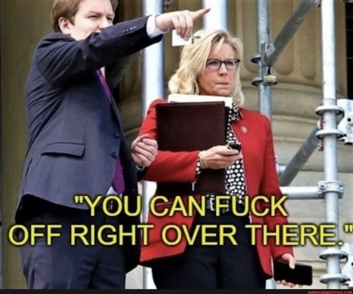 cheney **** off.webp