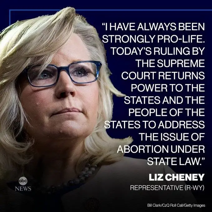 cheney prolife.jpg