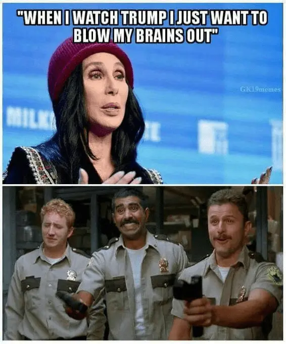 cher dumbfuck 93.webp