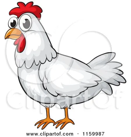 chicken.webp