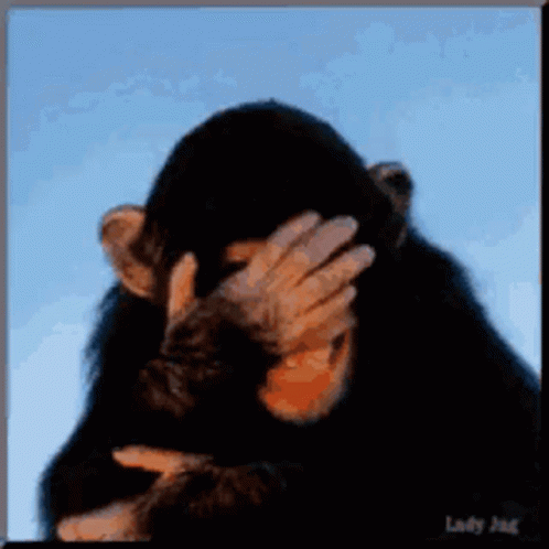 chimp.gif