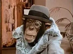 Chimp.webp