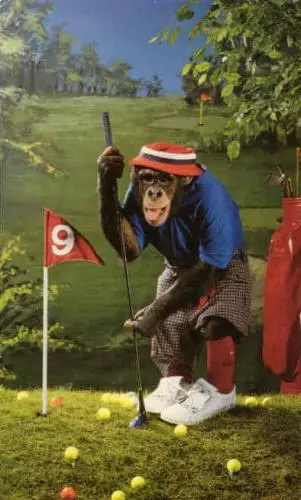 Chimp_golfing.webp
