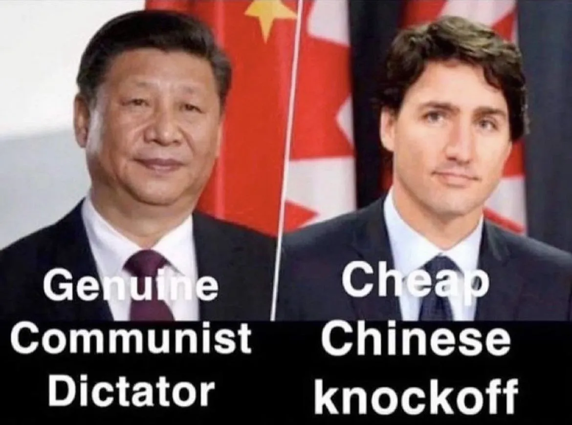 Chinese Knockoff Canadian PM.webp