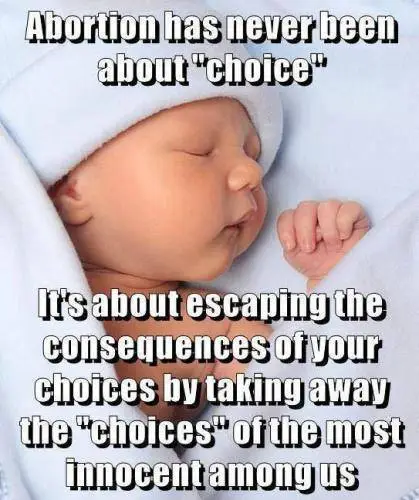 choice.webp