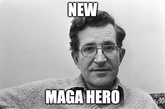 Chomsky MAGA hero.jpg