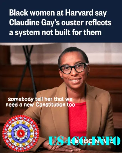 Claudine_Gay - we_need_a_new_constitution.png