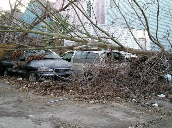 Cleveland Ave.webp