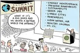 Climate change cartoon.webp