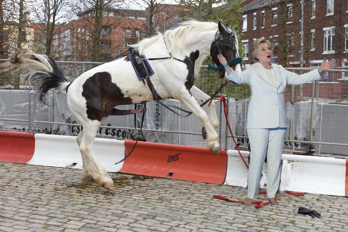 clinton horse.webp