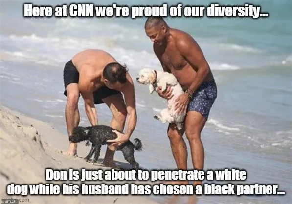 cnn diversity.webp