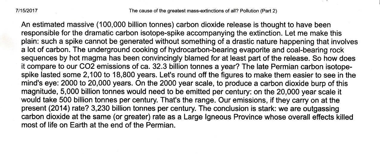 CO2 extinction excerpt.webp