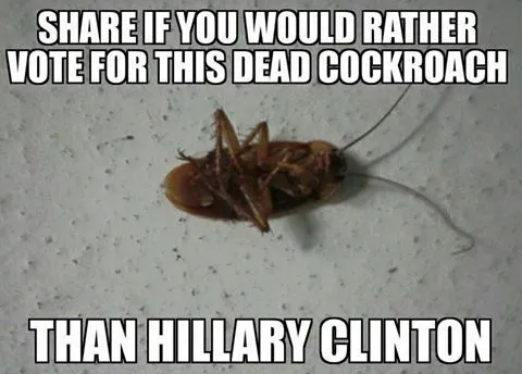 cock roach.webp