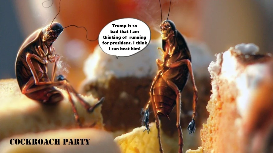 cockroach-funny.webp