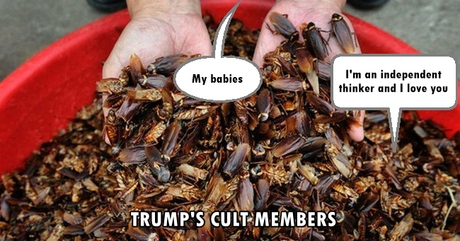 Cockroacheslovingtrump.webp
