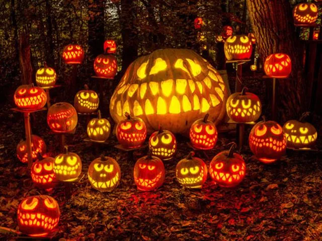 color pumpkin family.webp