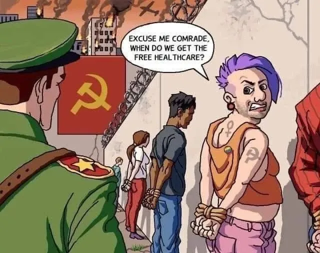 commie free healthcare comrade.webp