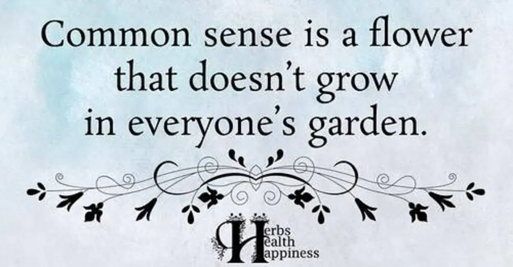 Common sense is a flower.webp