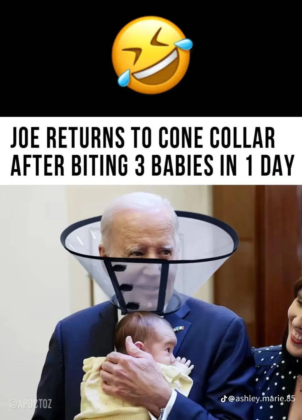 cone collar return.webp