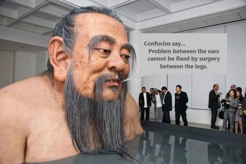 confucius ears legs trans.webp