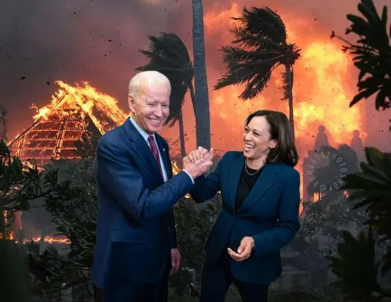 congrats comrade.webp