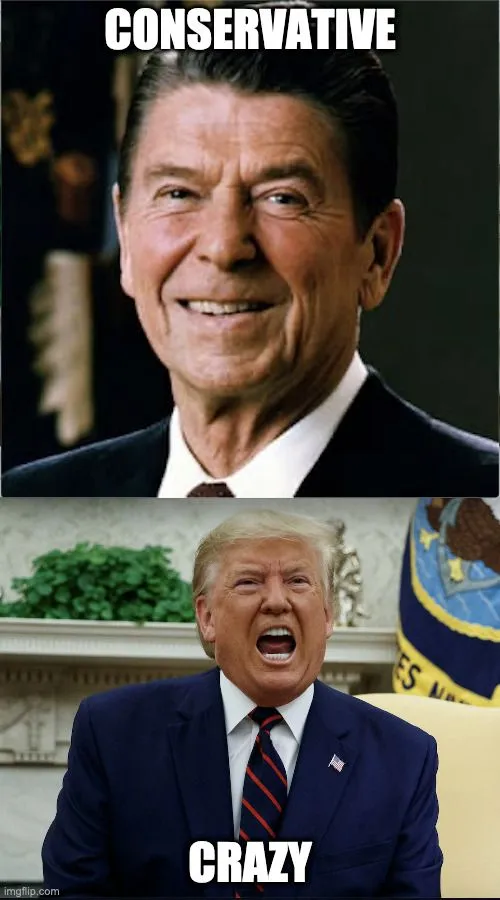 Conservative Crazy.webp