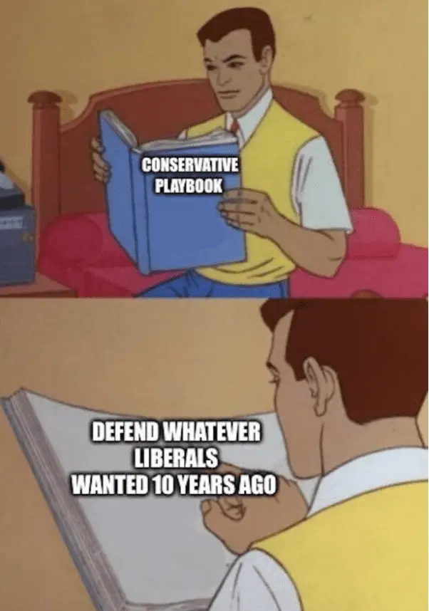 conservative playbook.webp