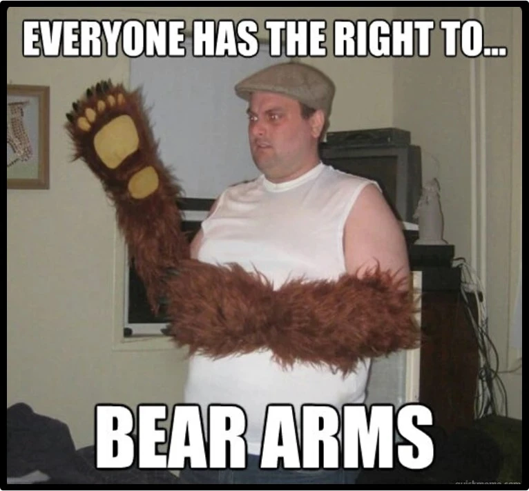 constitution-blog-bear-arms.png.webp