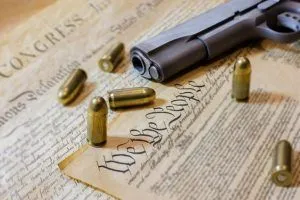 Constitution-guns-300x200.webp