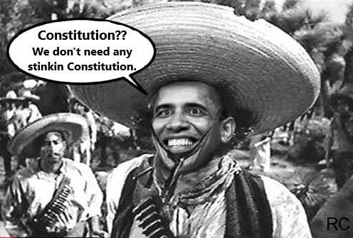 constitution obama.webp