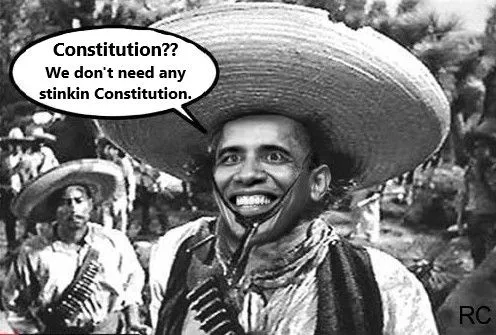 constitution obama.webp