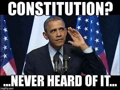 constitution.webp