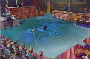 counsel-approaching-the-bench-vi.webp