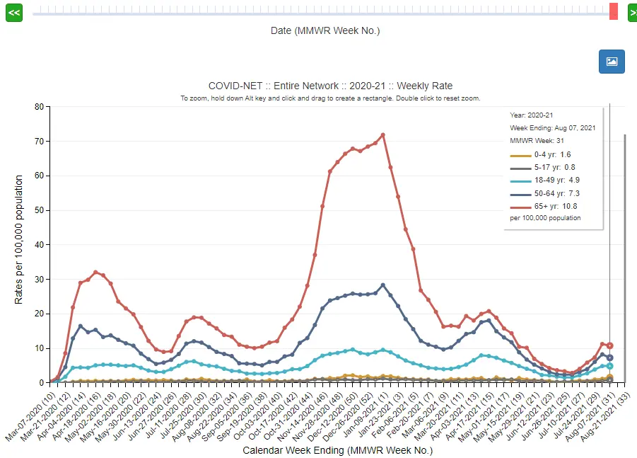covid hospitalizations aug21.webp
