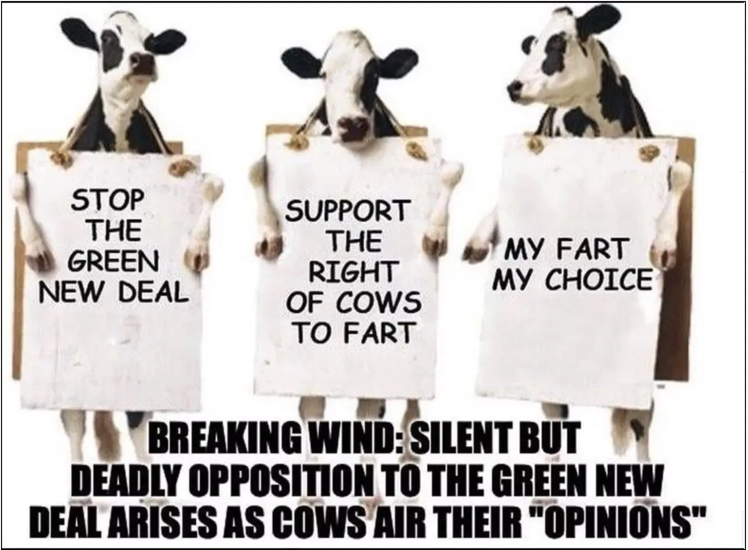 Cow Green New Deal.webp