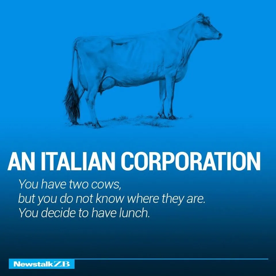 Cows 14.webp