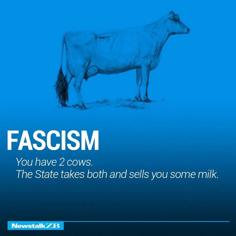 Cows 3.webp