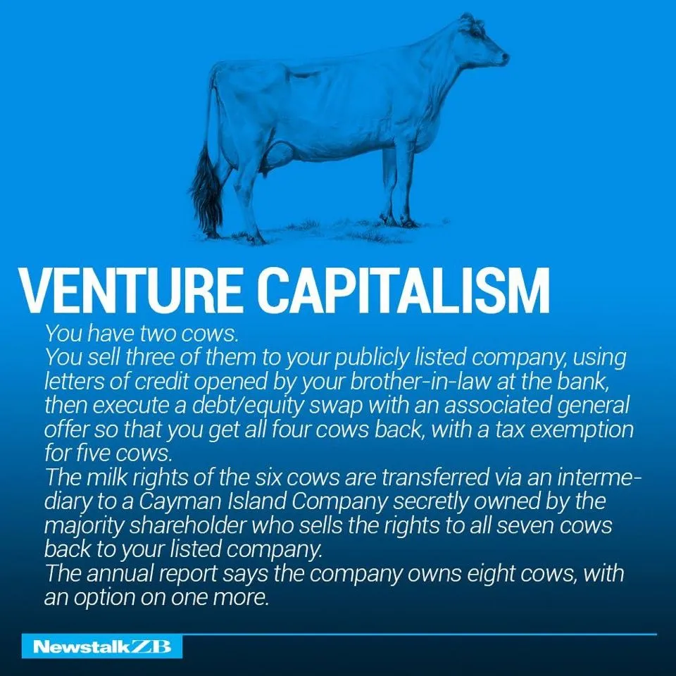 Cows 6.webp