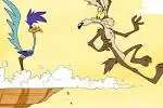 coyote1.webp