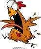 crazy-chicken-.webp