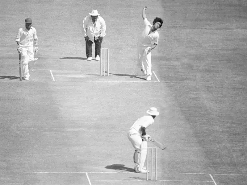 cricket.webp