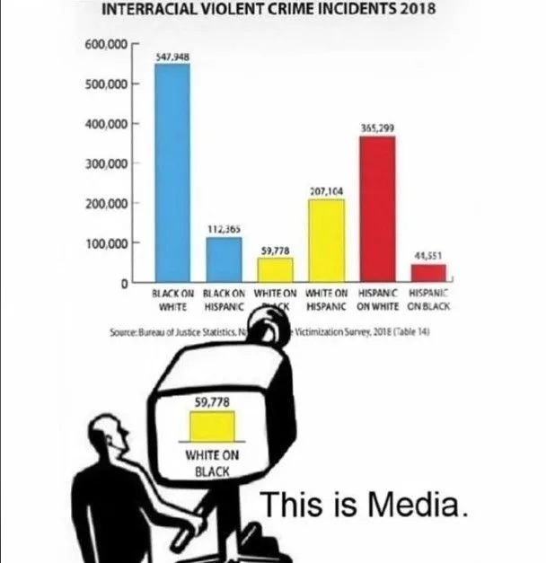 crimeinrerracialstatsmediabias.webp