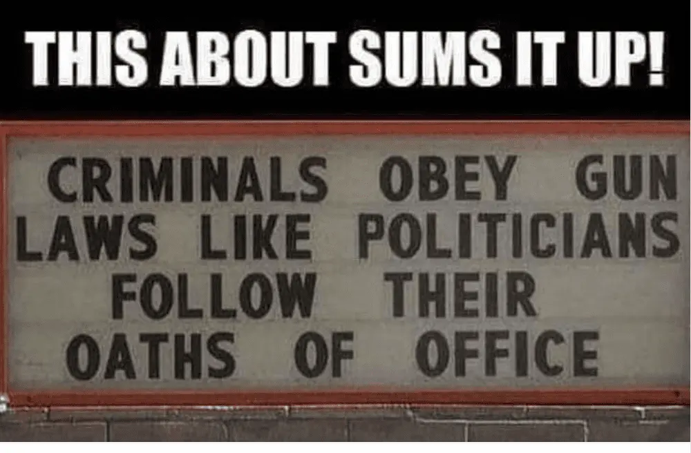 Criminals and gun laws.webp