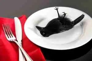crow.webp