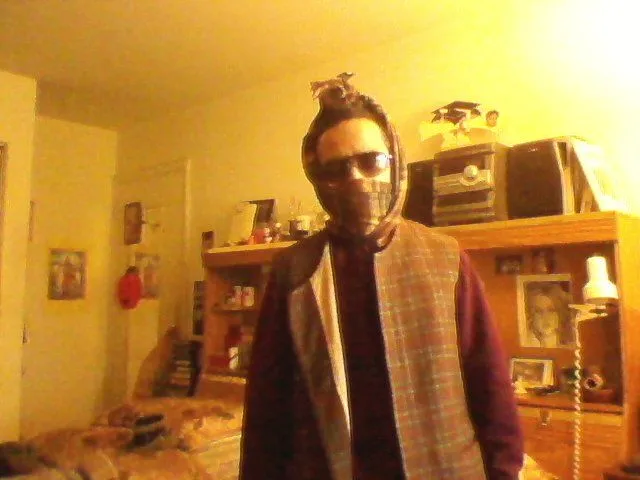 crusader.webp